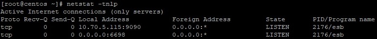 Проверка портов сервера «1С:Шины» командой netstat в терминале Linux